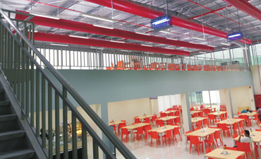 xc sports(中国区)-官方网站