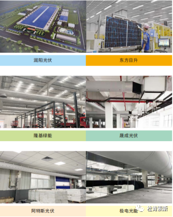 xc sports(中国区)-官方网站