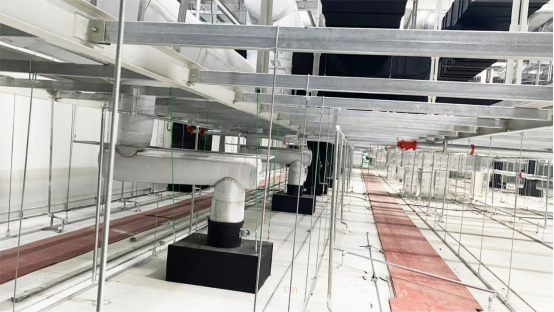 xc sports(中国区)-官方网站