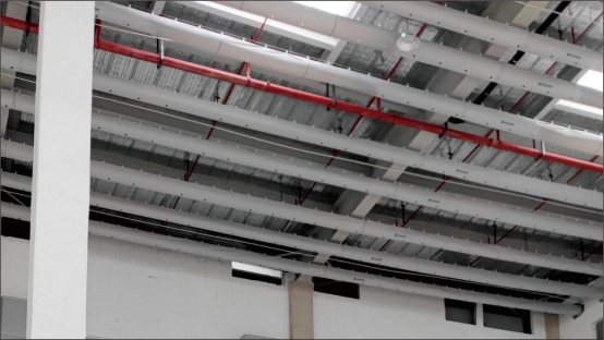 xc sports(中国区)-官方网站